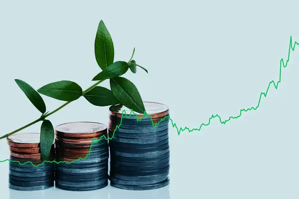 La Inversión de Impacto en Sudamérica - Economía Digital
